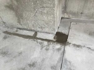 wrentham 3 car garage floor epoxy coating 39
